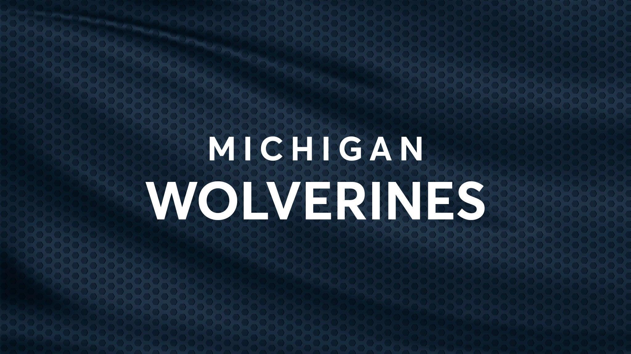 University of Michigan Wolverines Softball