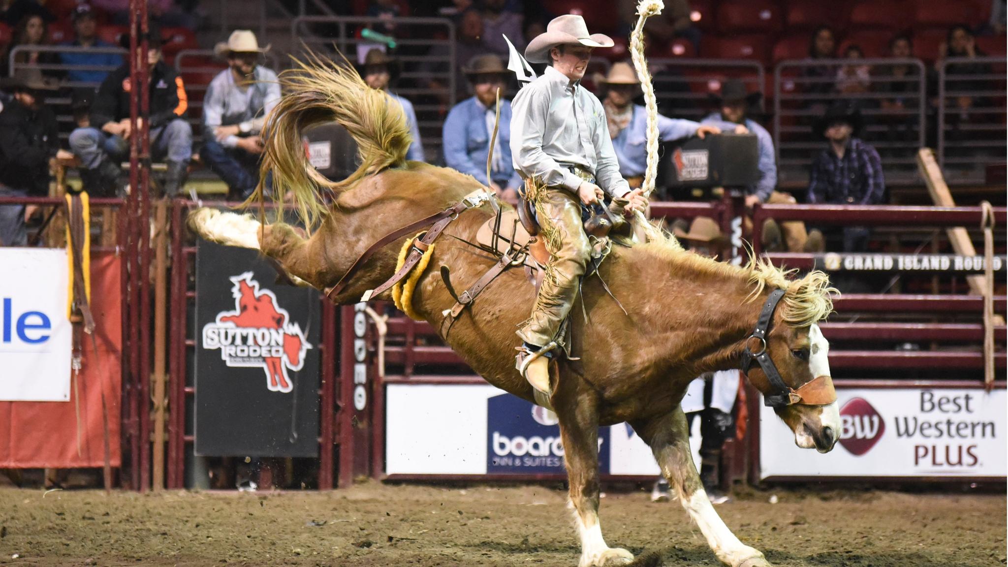 Rodeo Grand Island