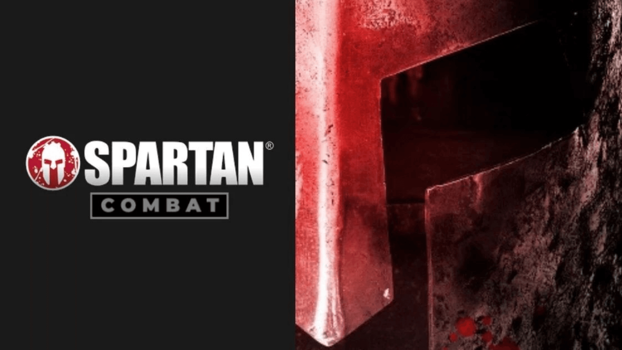 Spartan Combat